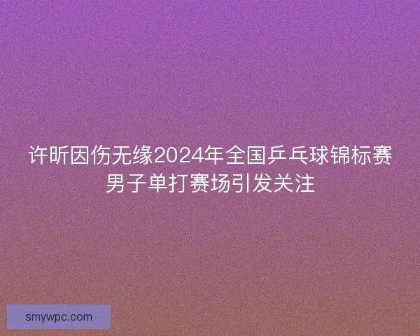 许昕因伤无缘2024年全国乒乓球锦标赛男子单打赛场引发关注